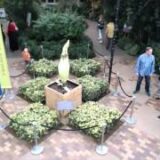 Chicago Botanic Garden Web Cam