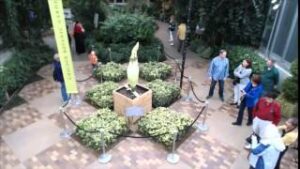 Chicago Botanic Garden Web Cam