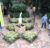 Chicago Botanic Garden Web Cam