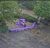 Northwestern Rock Cam